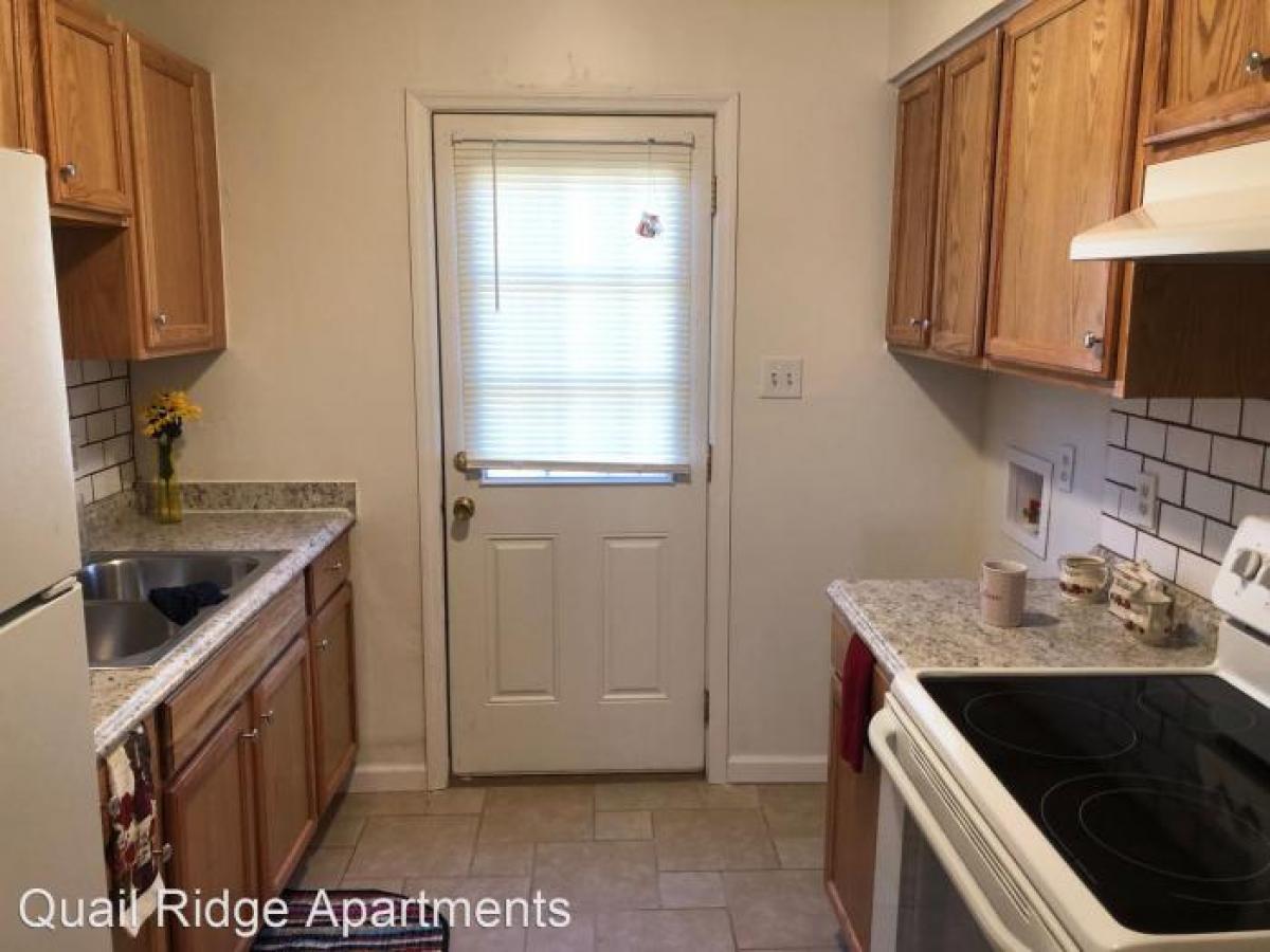 Picture of Apartment For Rent in Washington, North Carolina, United States