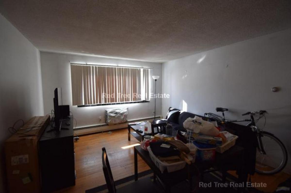 Picture of Condo For Rent in Allston, Massachusetts, United States