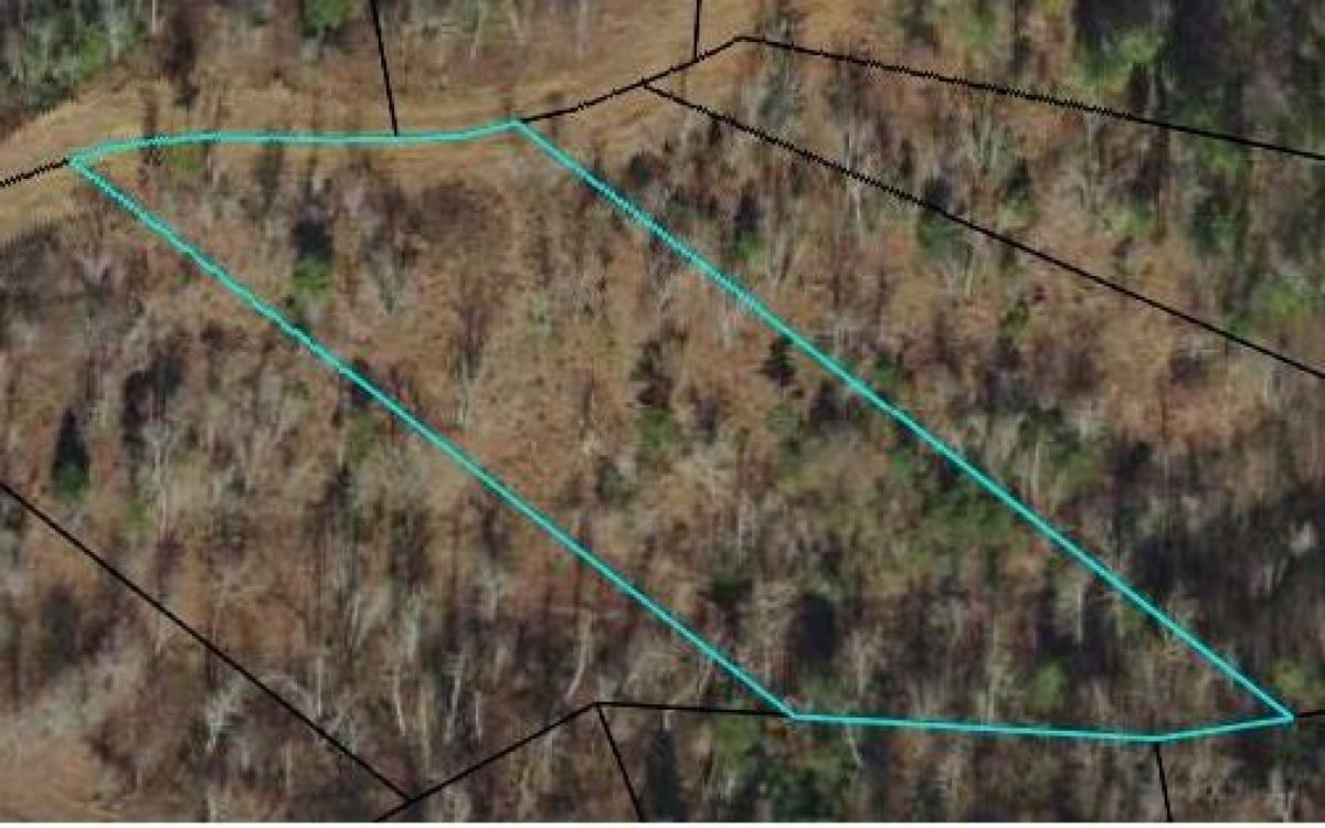 Picture of Residential Land For Sale in Young Harris, Georgia, United States