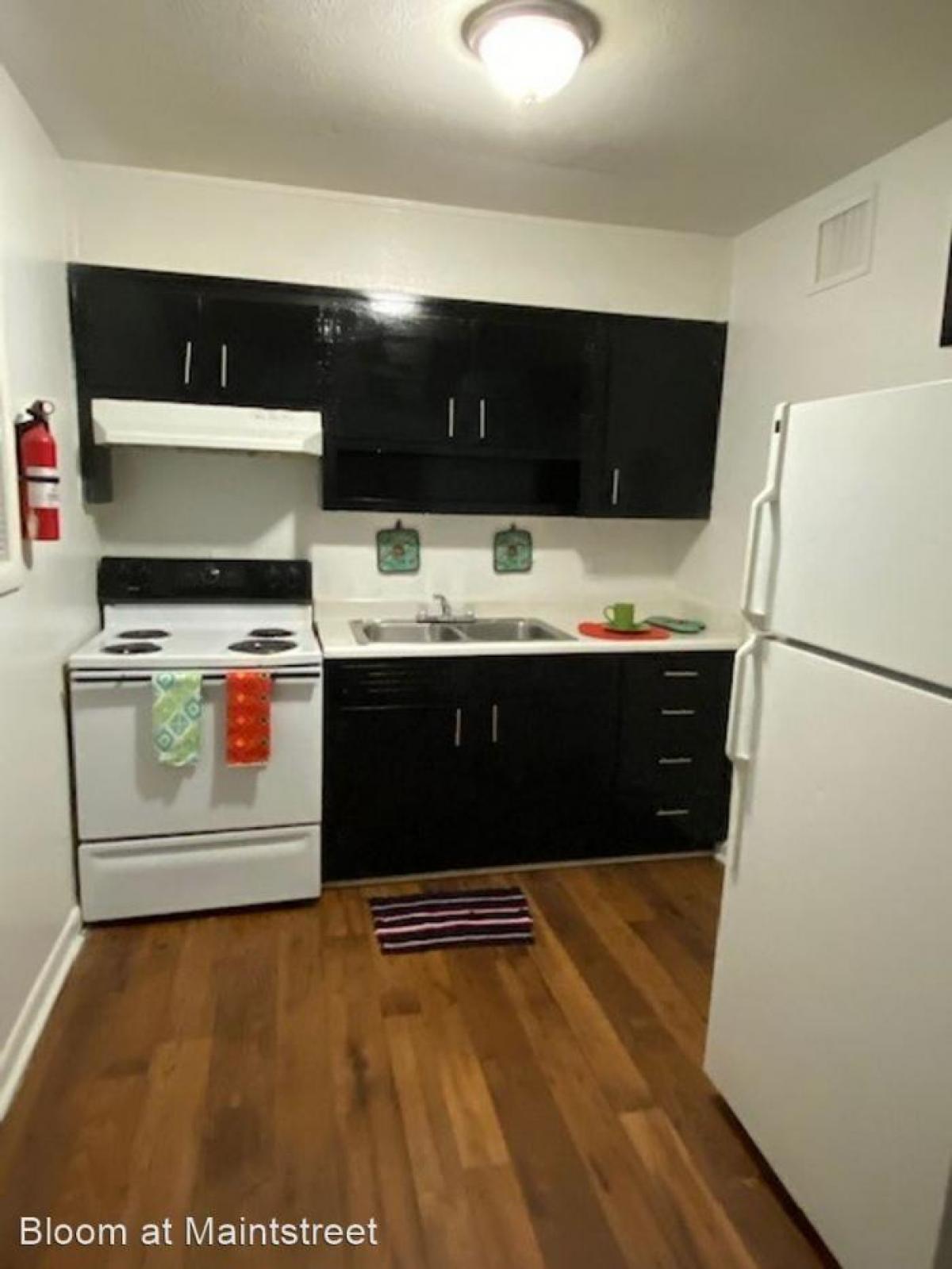 Picture of Apartment For Rent in Cartersville, Georgia, United States