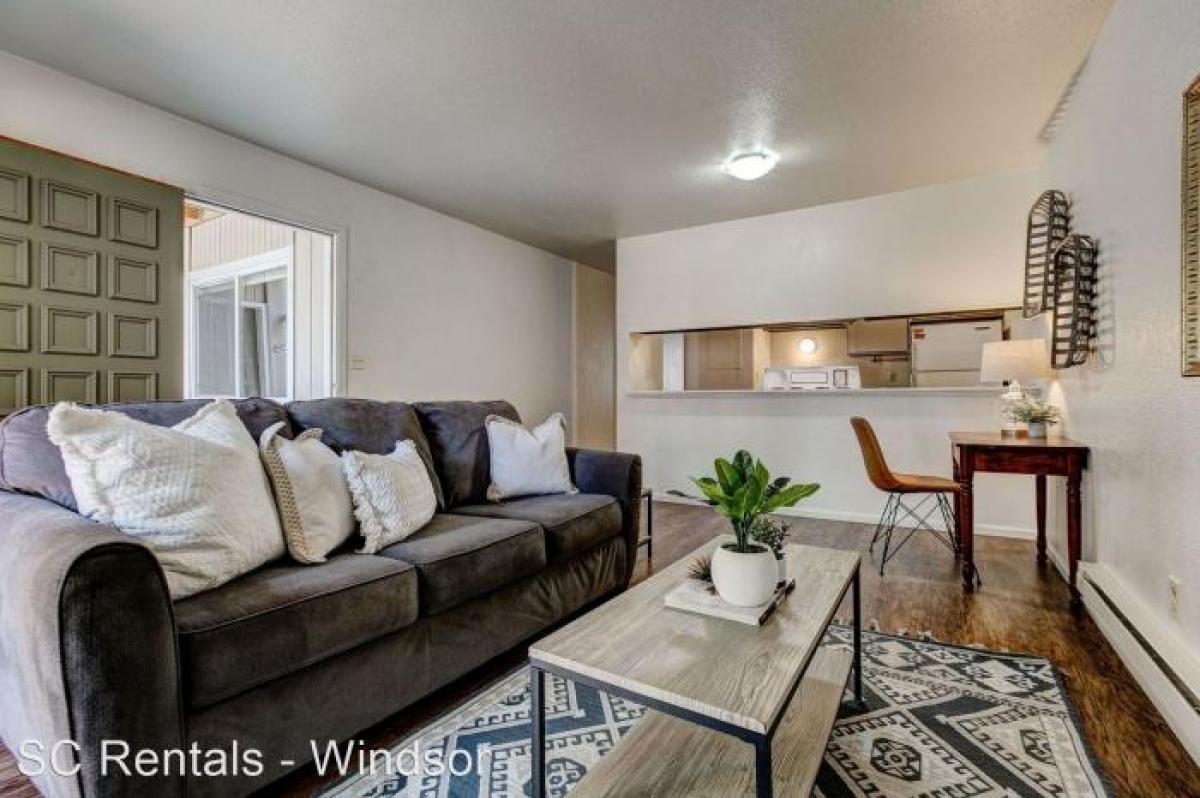 Picture of Apartment For Rent in Windsor, Colorado, United States