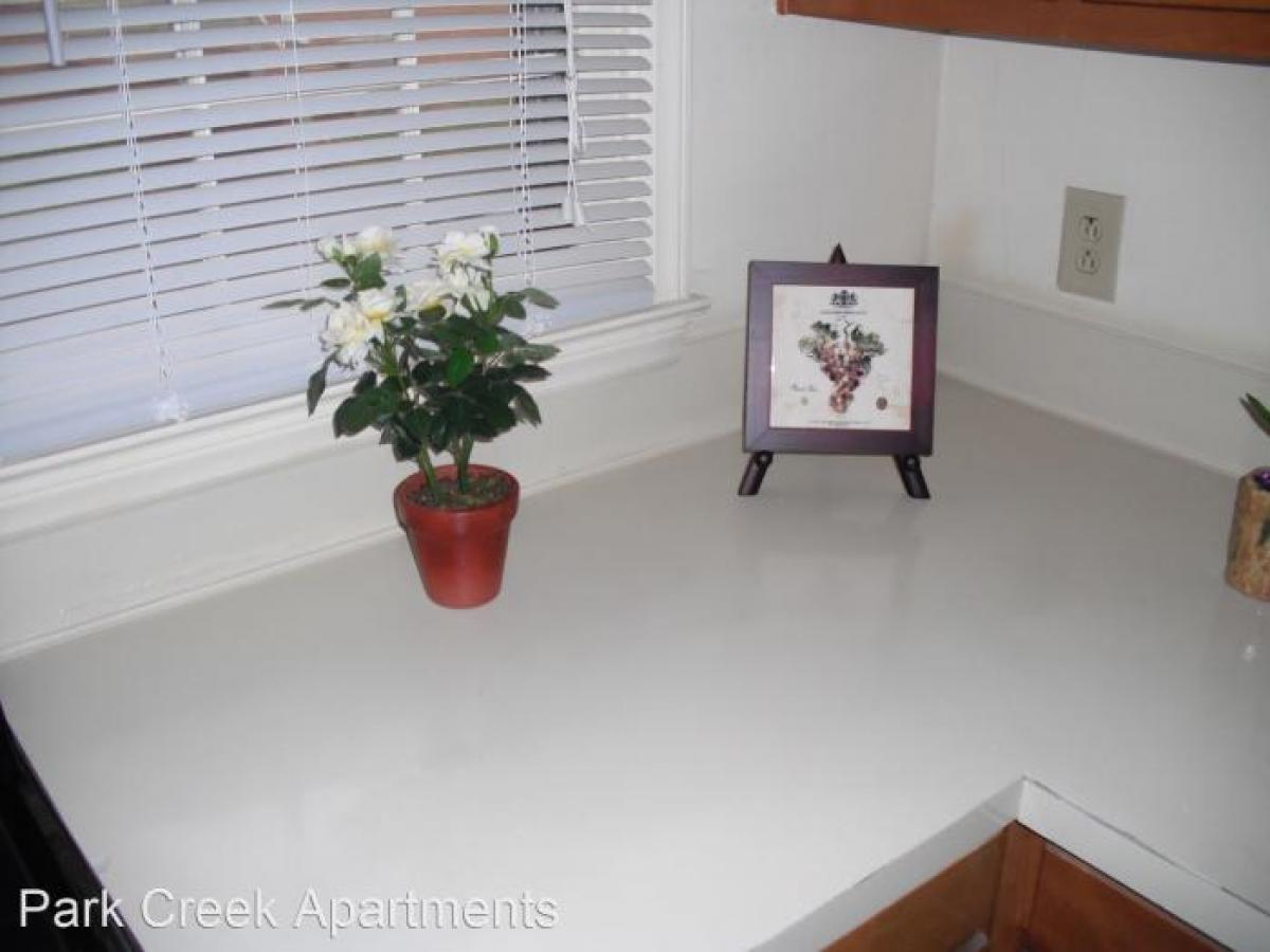 Picture of Apartment For Rent in Charlotte, North Carolina, United States