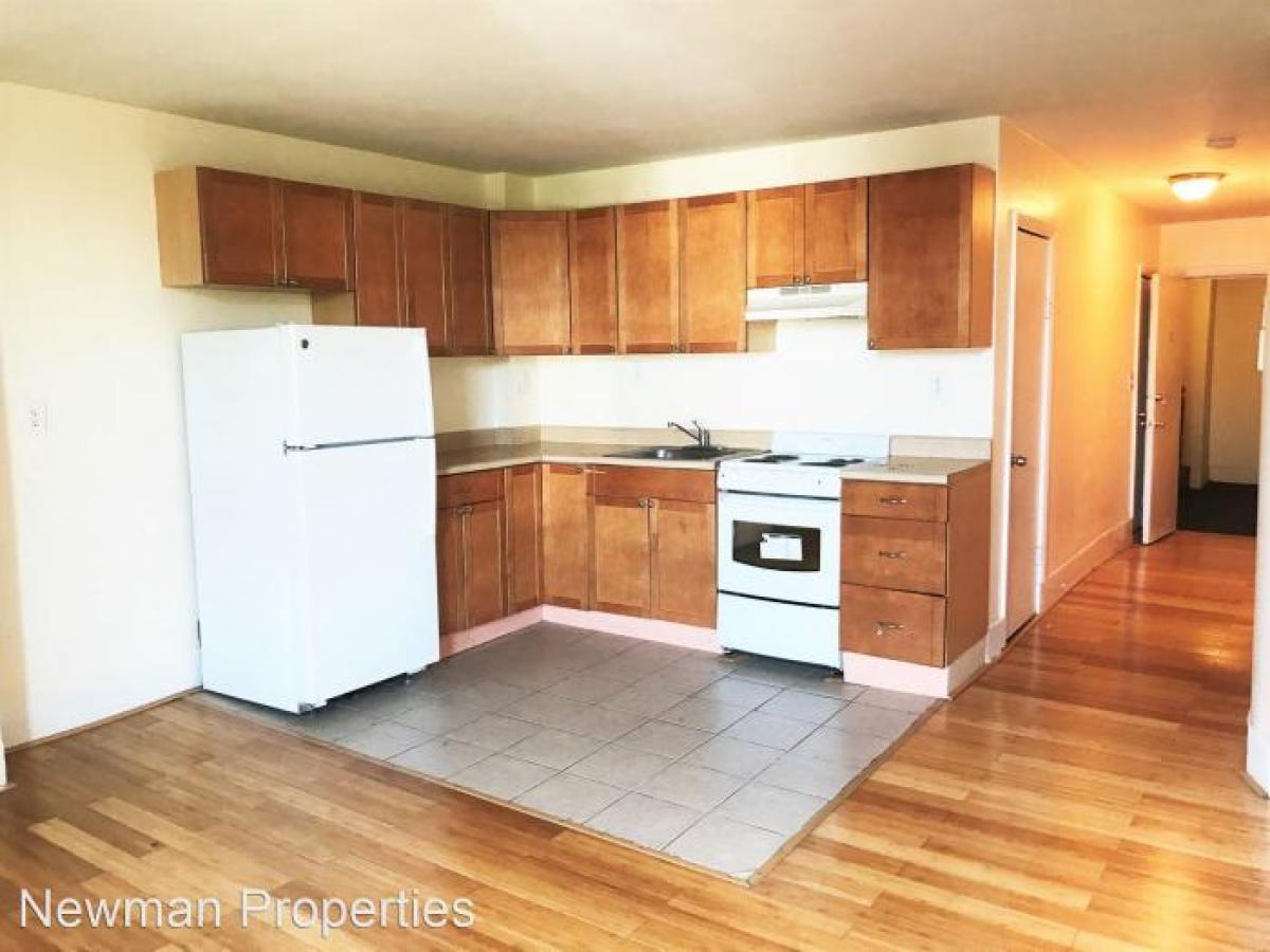 Picture of Apartment For Rent in East Boston, Massachusetts, United States