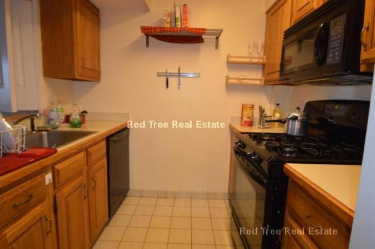 Picture of Condo For Rent in Allston, Massachusetts, United States