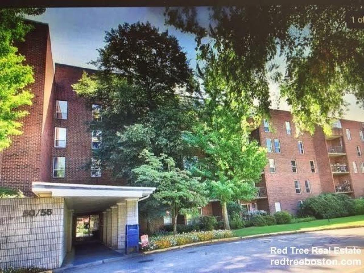 Picture of Apartment For Rent in Chestnut Hill, Massachusetts, United States