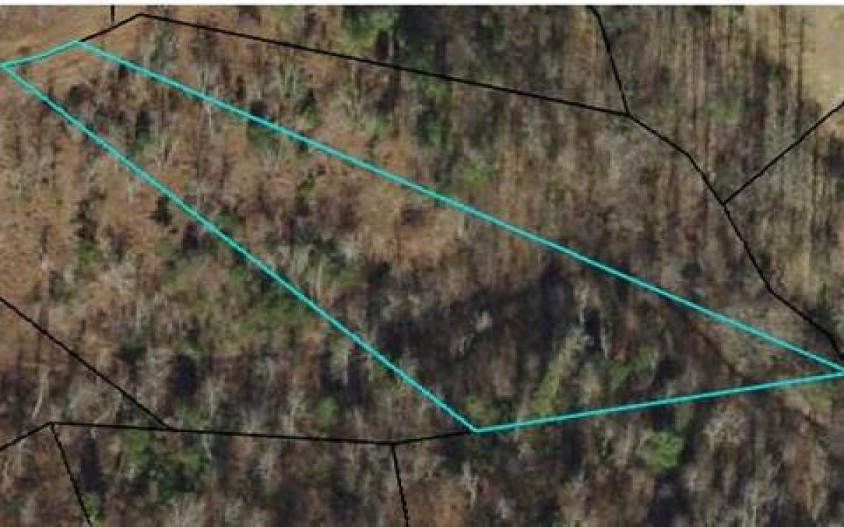 Picture of Residential Land For Sale in Young Harris, Georgia, United States