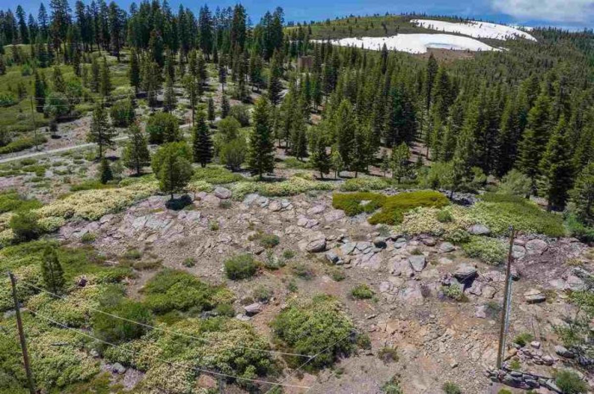 Picture of Residential Land For Sale in Truckee, California, United States