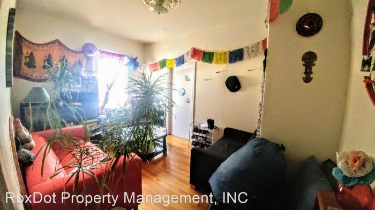 Picture of Apartment For Rent in Roxbury, Massachusetts, United States