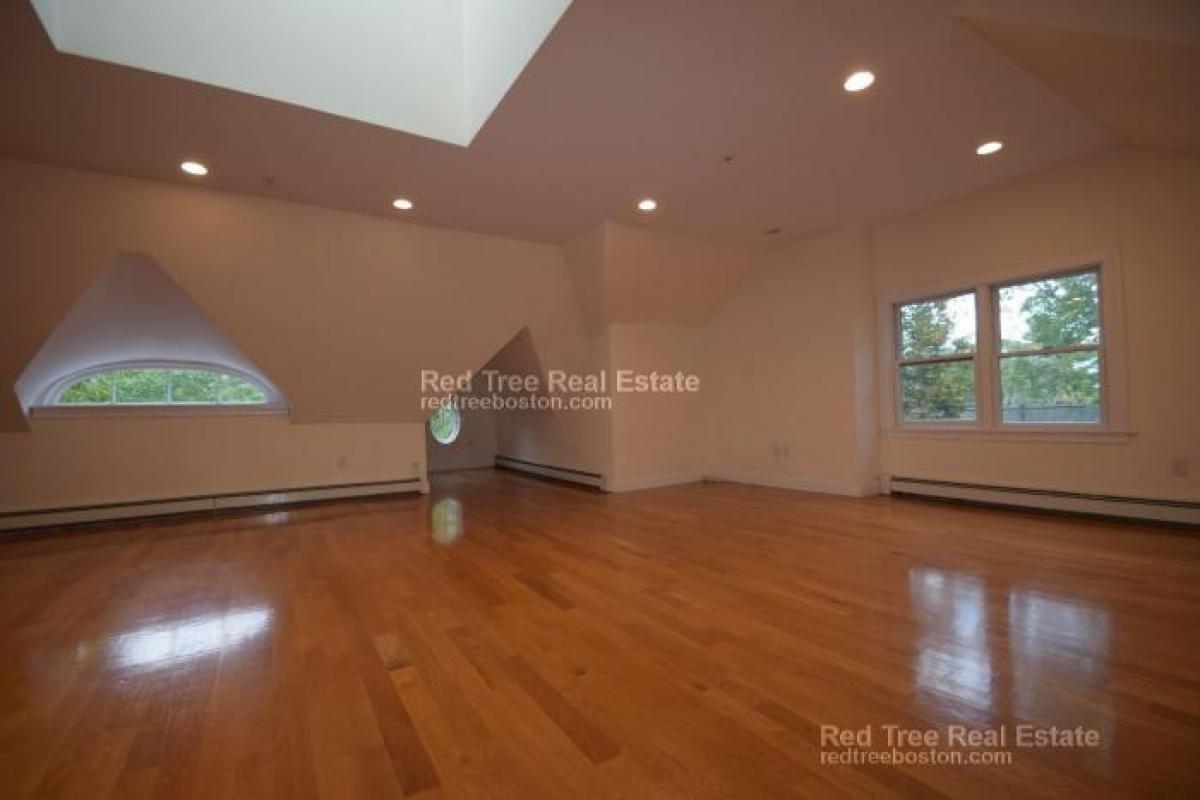 Picture of Condo For Rent in Brighton, Massachusetts, United States