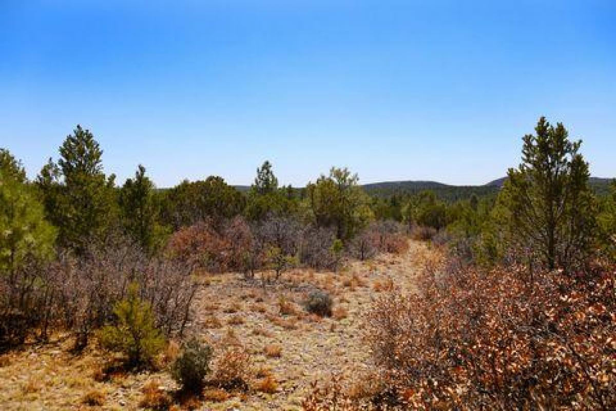 Picture of Residential Land For Sale in Timberon, New Mexico, United States