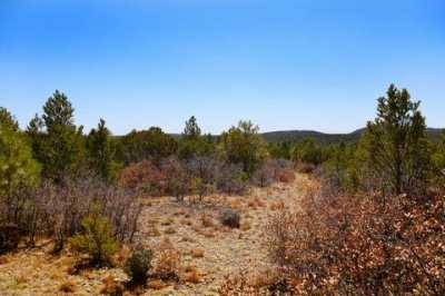 Residential Land For Sale in Timberon, New Mexico