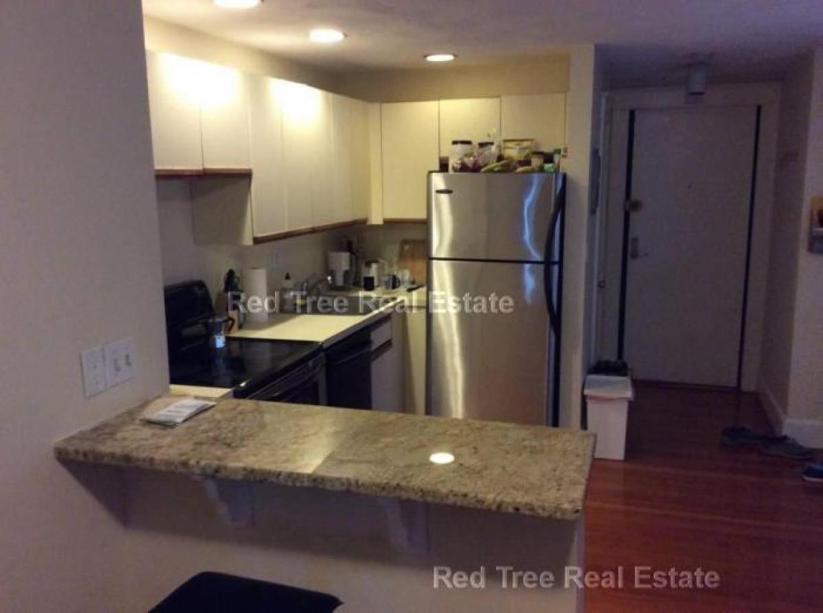 Picture of Condo For Rent in Brighton, Massachusetts, United States