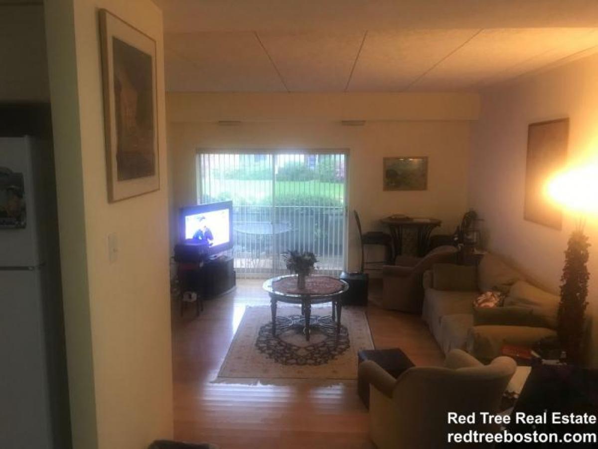 Picture of Apartment For Rent in Chestnut Hill, Massachusetts, United States