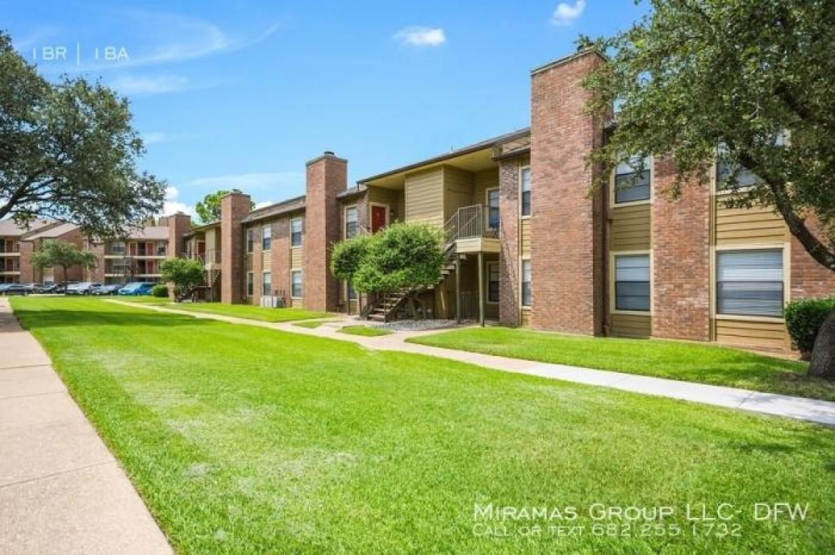 Picture of Apartment For Rent in Irving, Texas, United States