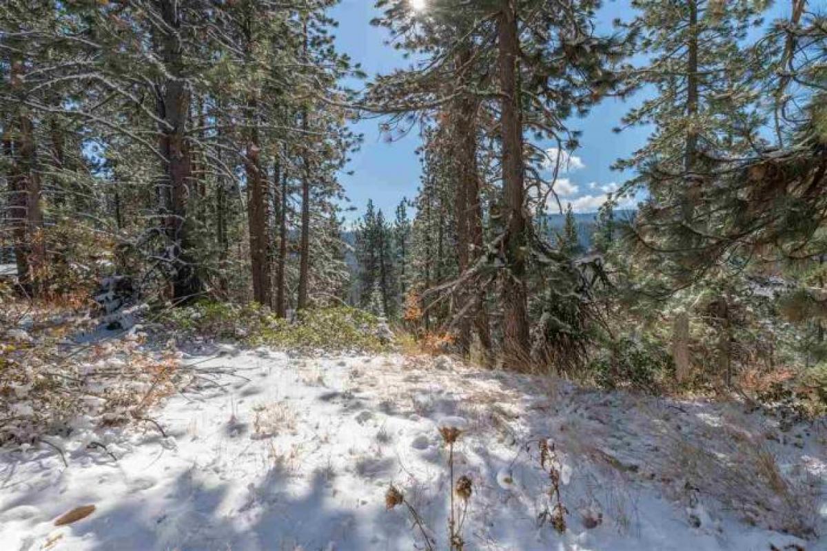 Picture of Residential Land For Sale in Truckee, California, United States