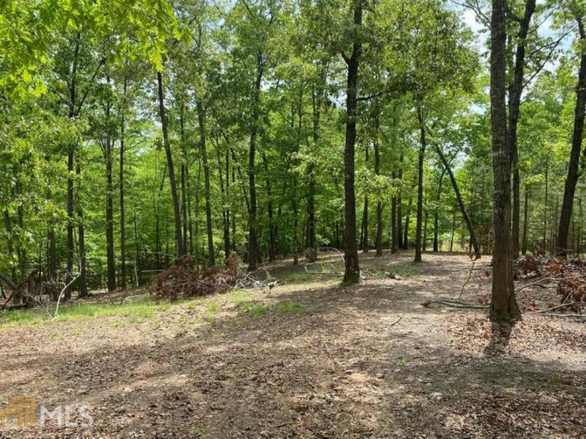 Picture of Farm For Sale in Blairsville, Georgia, United States