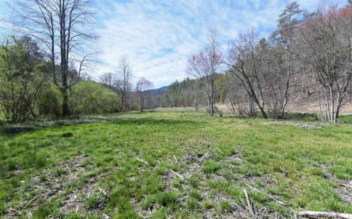 Picture of Residential Land For Sale in Reliance, Tennessee, United States