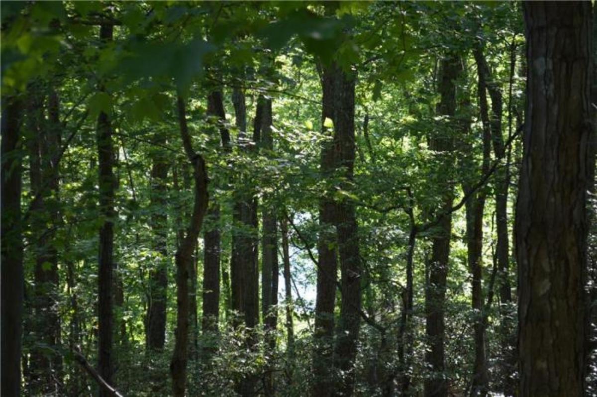 Picture of Residential Land For Sale in Big Canoe, Georgia, United States