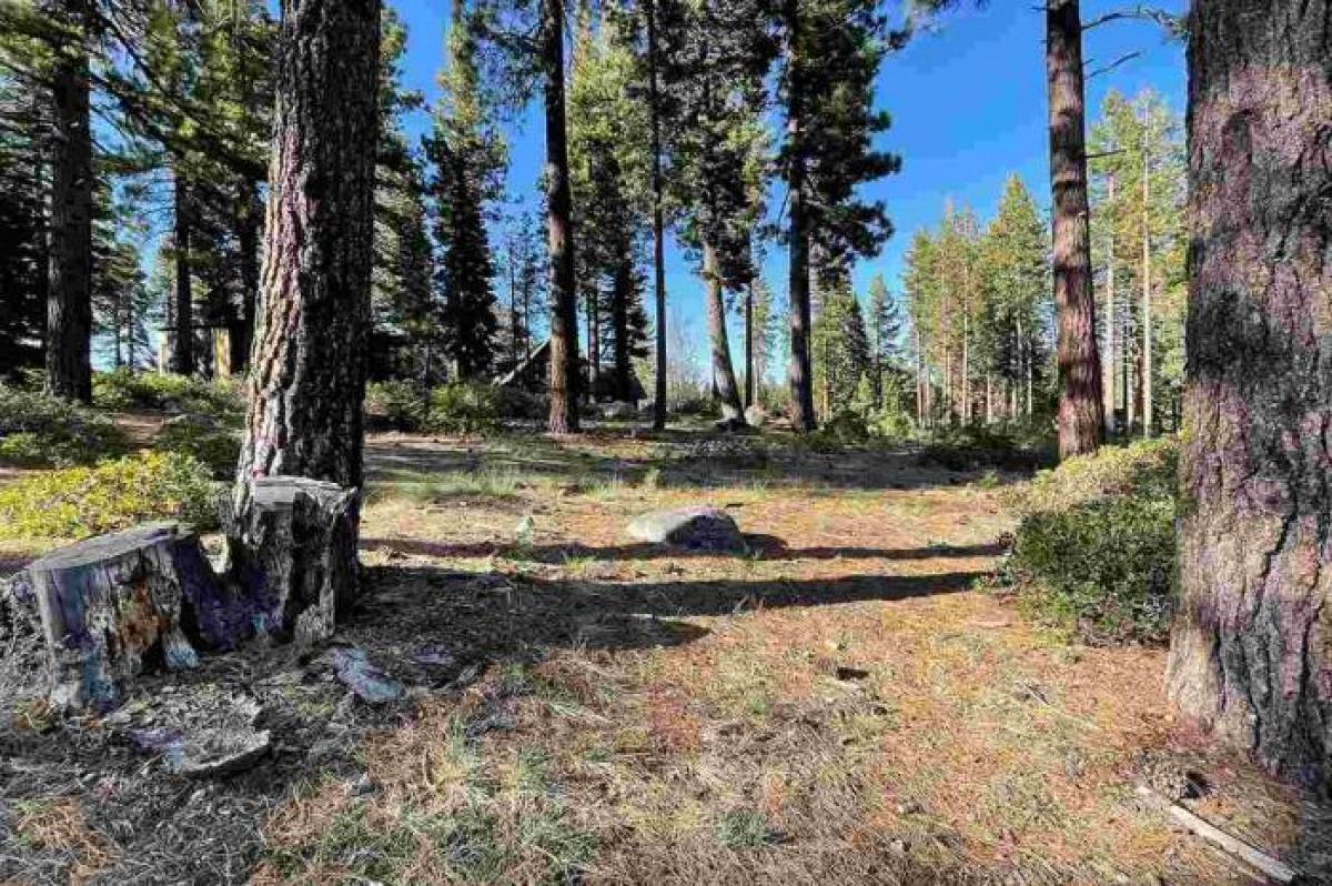 Picture of Residential Land For Sale in Truckee, California, United States