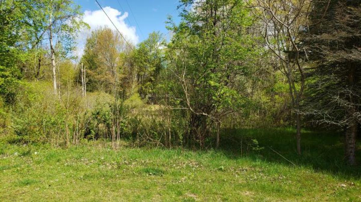 Picture of Residential Land For Sale in Bloomingdale, Michigan, United States