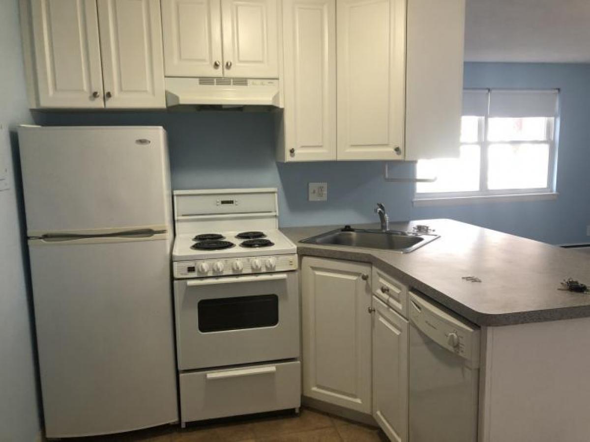 Picture of Condo For Rent in Arlington, Massachusetts, United States