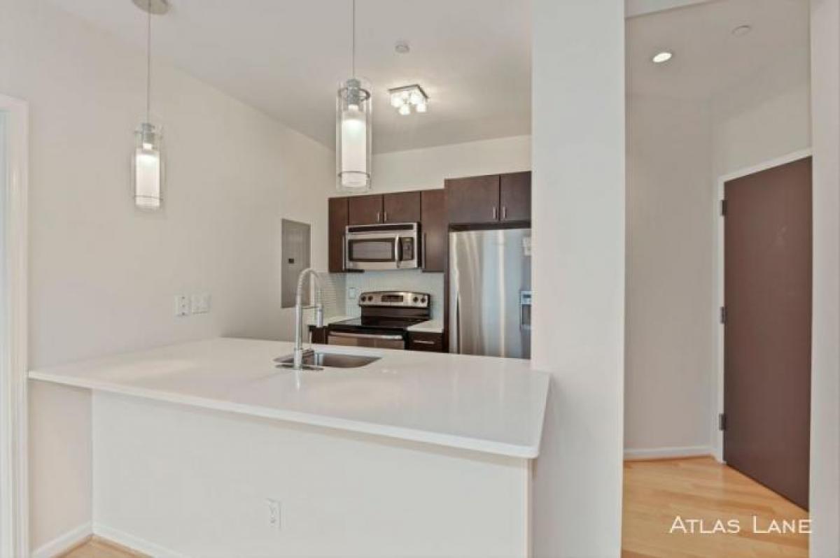 Picture of Condo For Rent in Washington, District of Columbia, United States