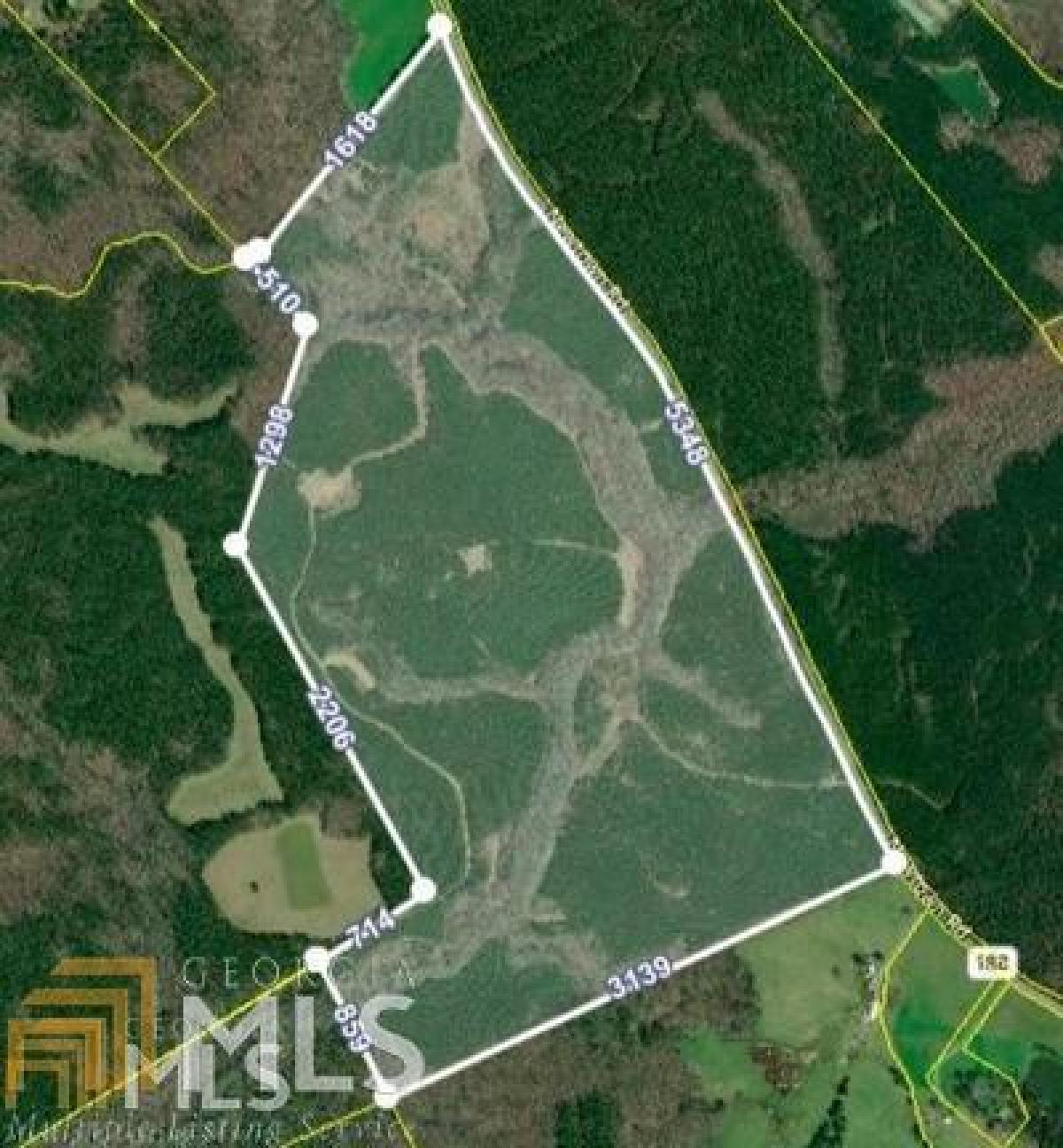 Picture of Residential Land For Sale in Tignall, Georgia, United States