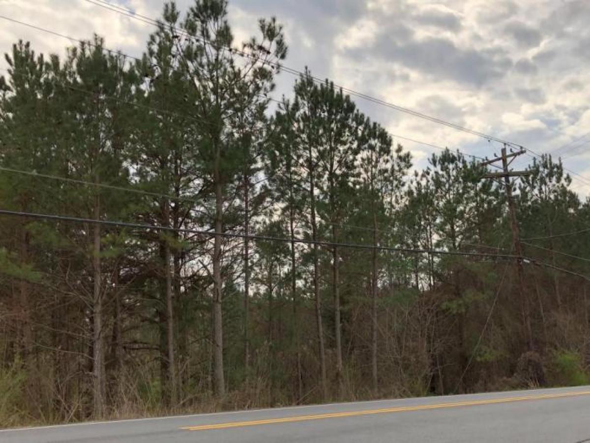 Picture of Residential Land For Sale in Roswell, Georgia, United States