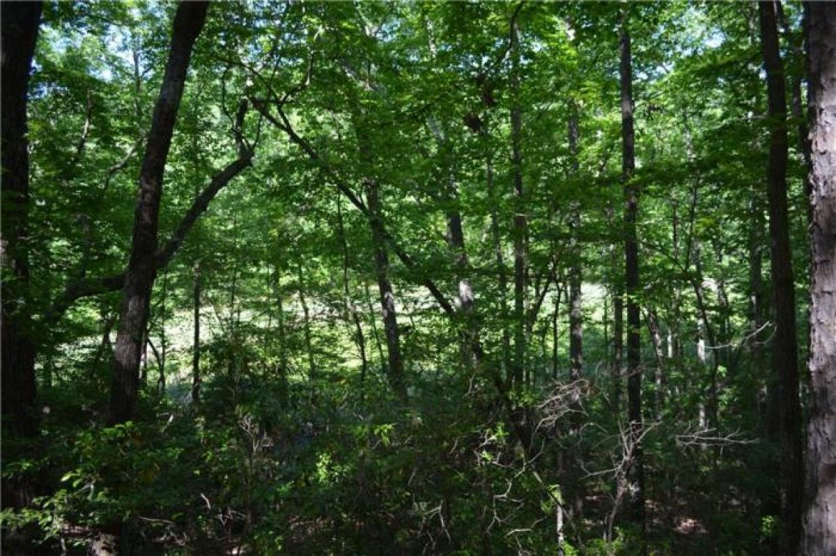 Picture of Residential Land For Sale in Big Canoe, Georgia, United States