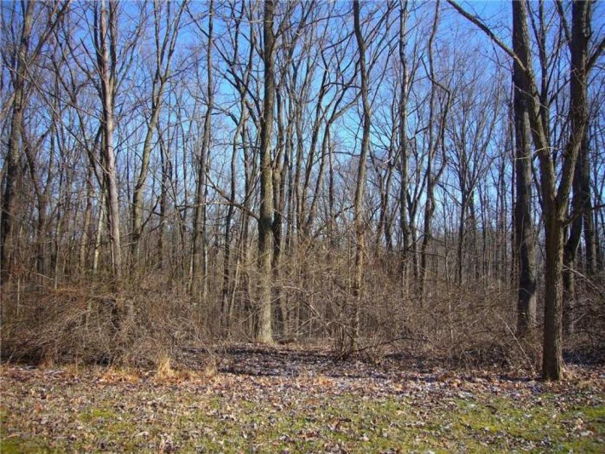 Picture of Residential Land For Sale in Unionville, Indiana, United States