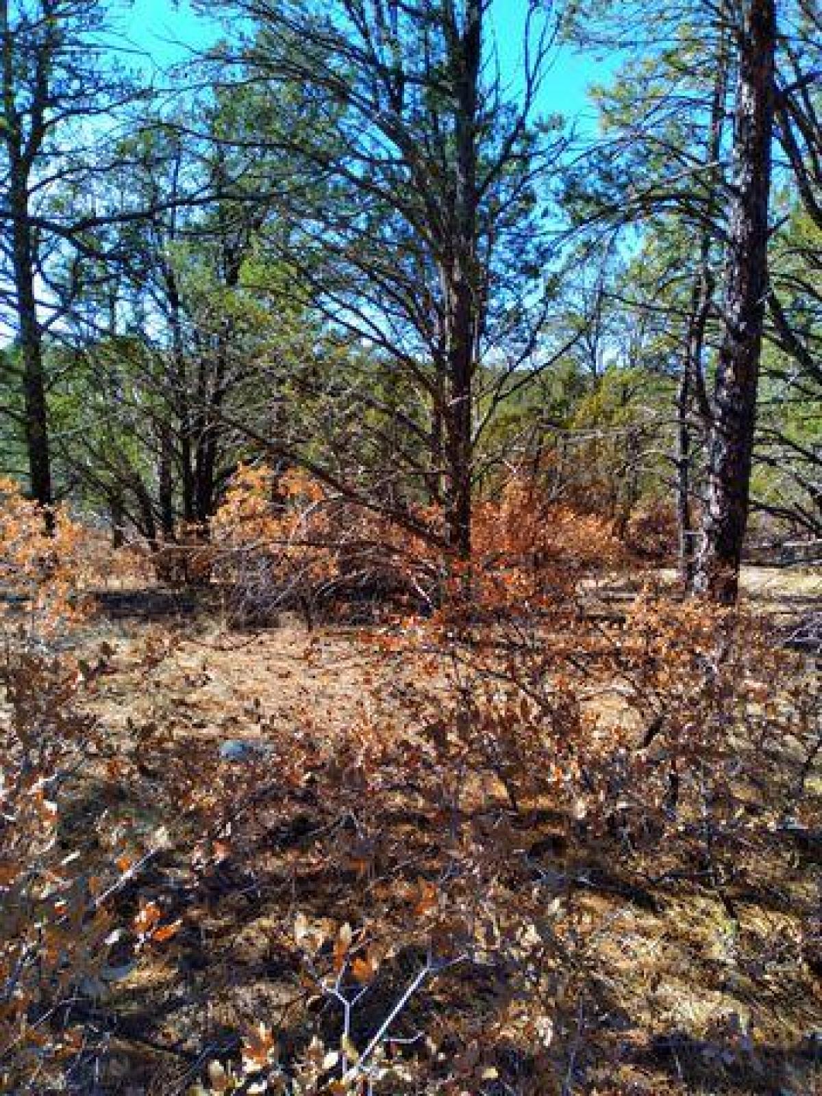 Picture of Residential Land For Sale in Cloudcroft, New Mexico, United States