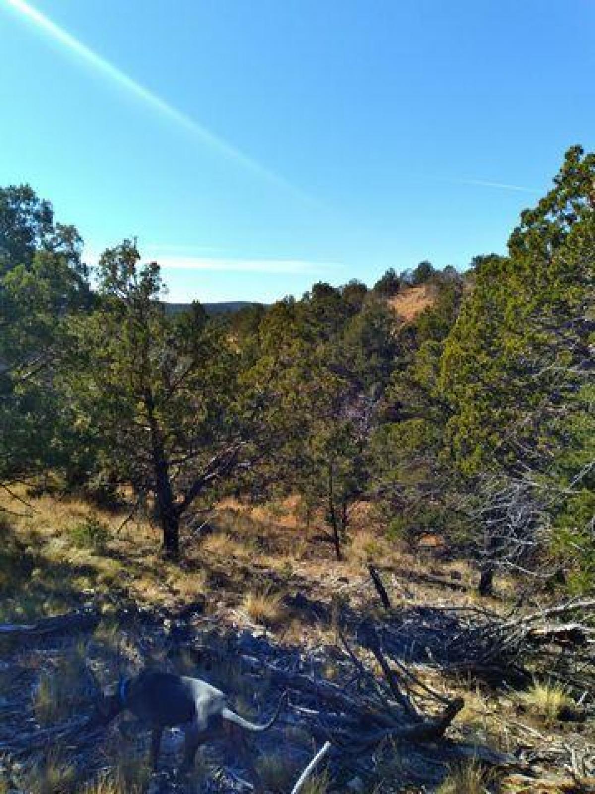 Picture of Residential Land For Sale in Timberon, New Mexico, United States