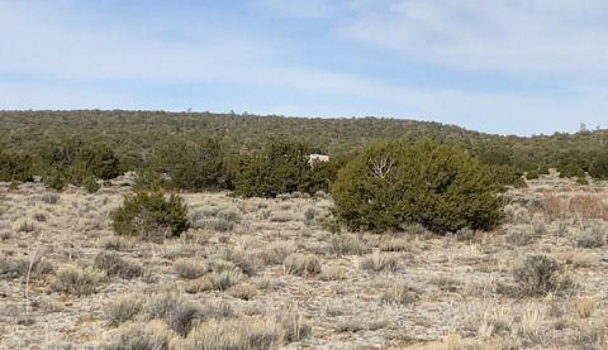 Picture of Residential Land For Sale in Pinehill, New Mexico, United States