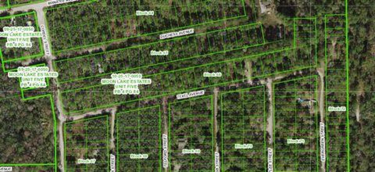 Picture of Residential Land For Sale in New Port Richey, Florida, United States