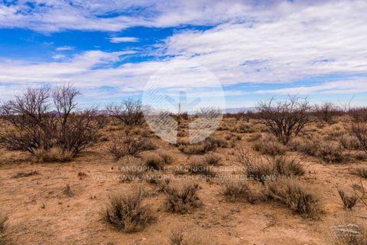 Picture of Residential Land For Sale in Cochise, Arizona, United States