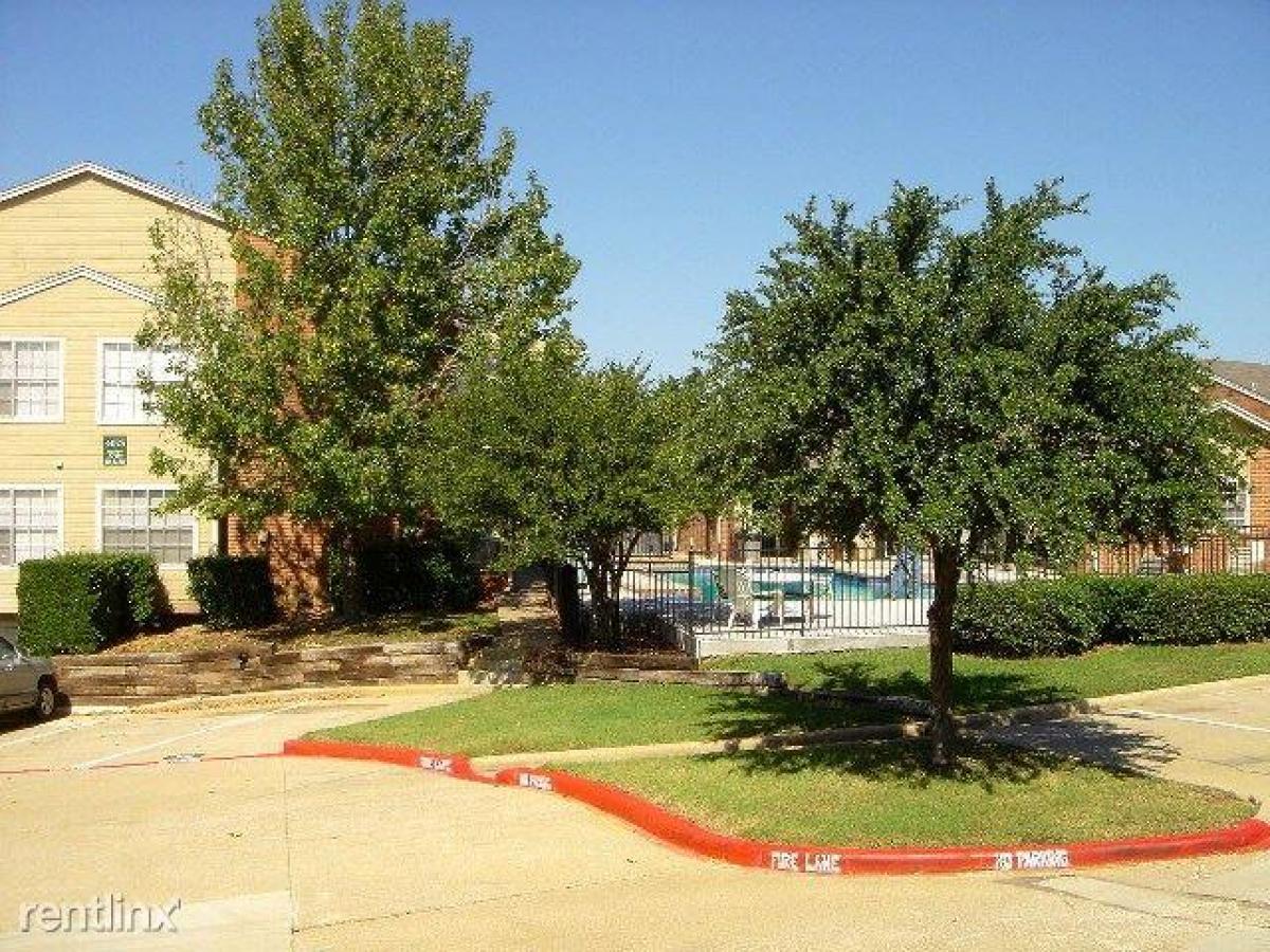 Picture of Apartment For Rent in Arlington, Texas, United States