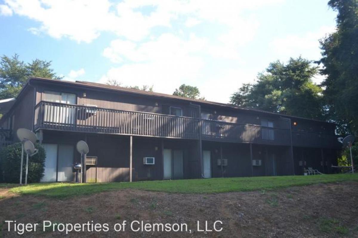 Picture of Apartment For Rent in Clemson, South Carolina, United States