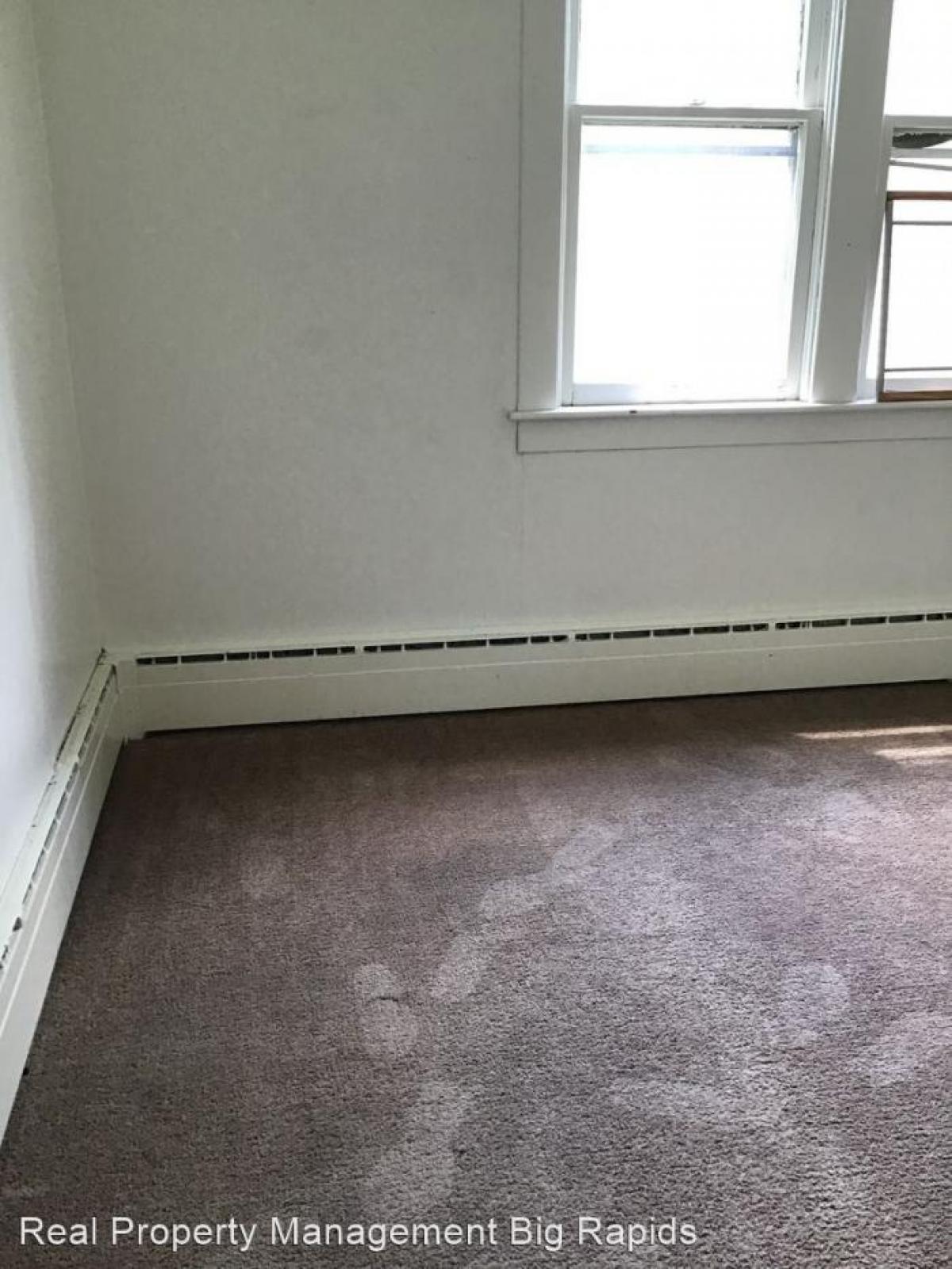 Picture of Apartment For Rent in Big Rapids, Michigan, United States