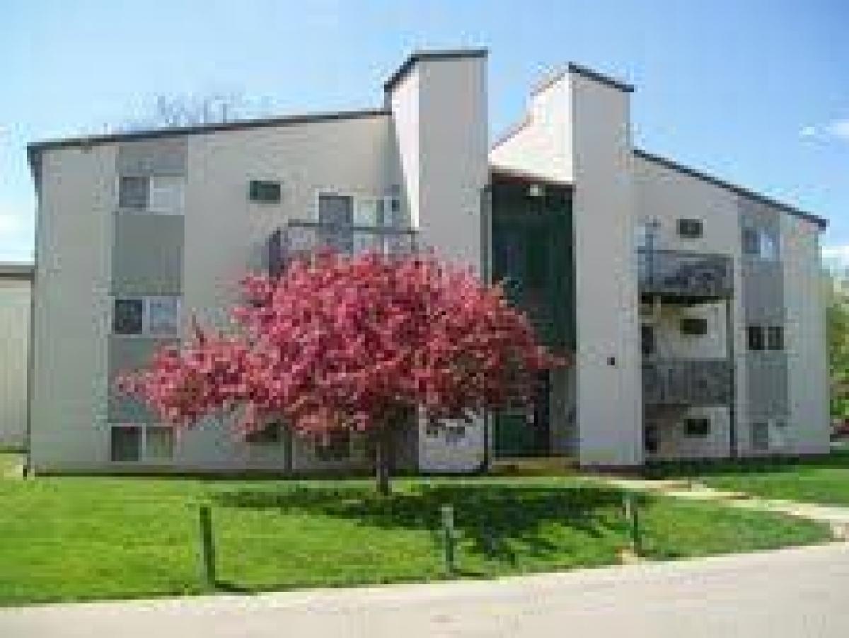 Picture of Apartment For Rent in Ionia, Michigan, United States