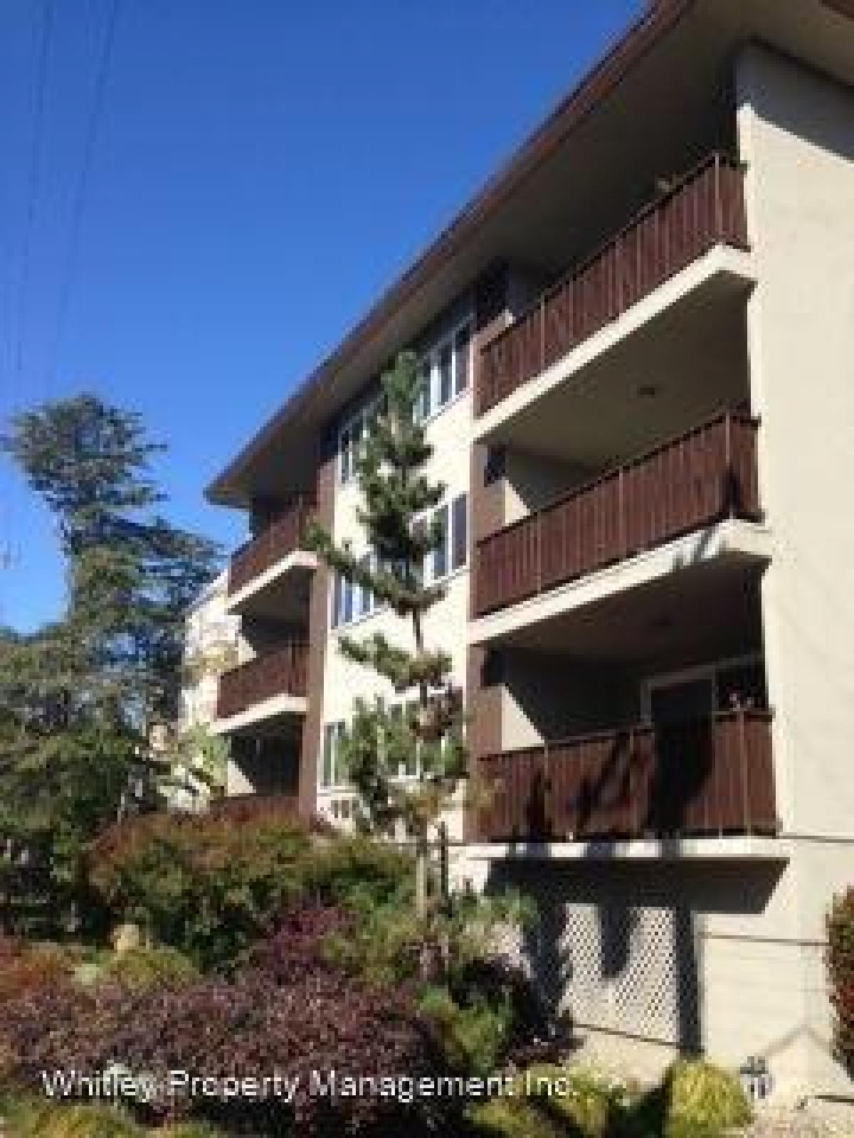 Picture of Apartment For Rent in Burlingame, California, United States