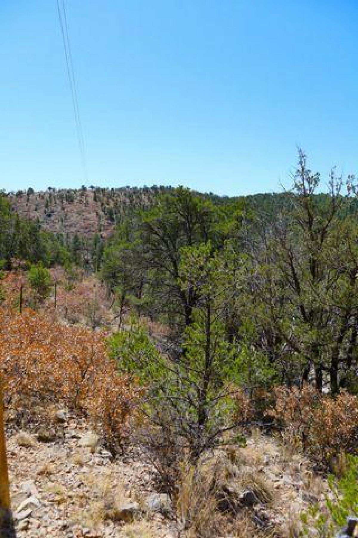 Picture of Residential Land For Sale in Timberon, New Mexico, United States