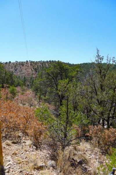 Residential Land For Sale in Timberon, New Mexico