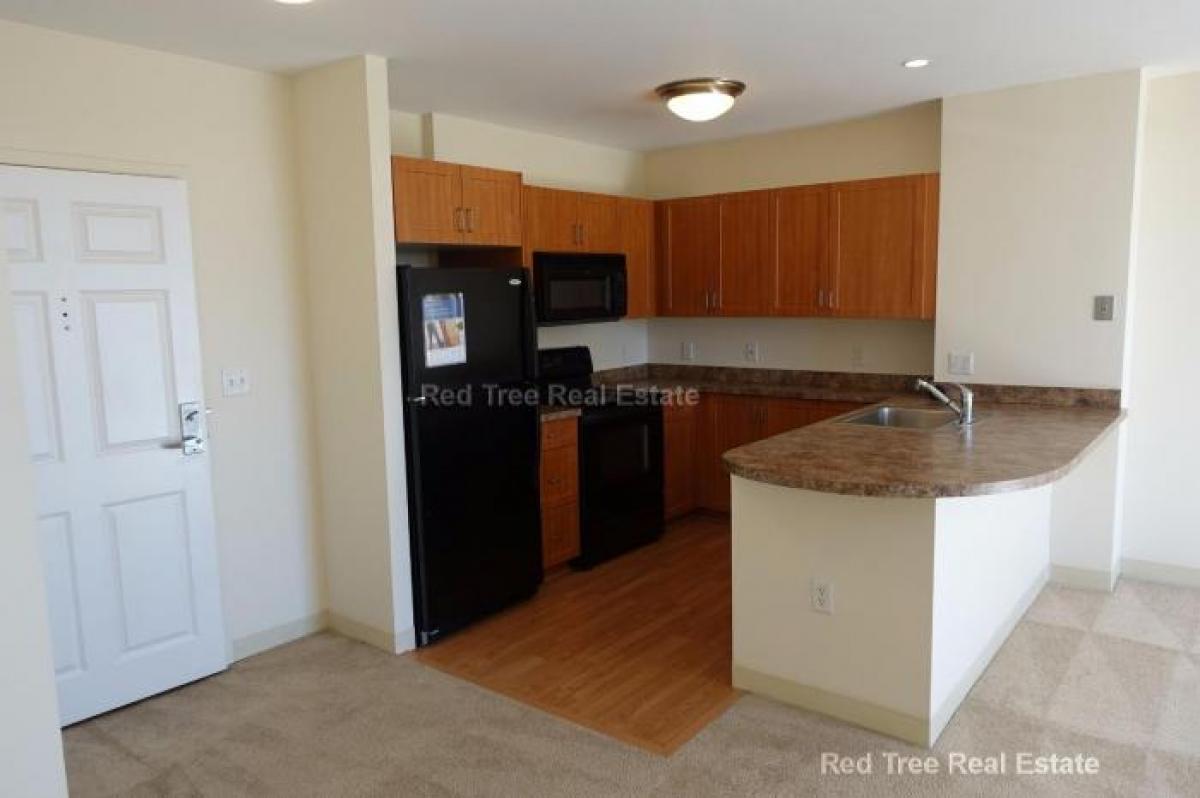 Picture of Apartment For Rent in Waltham, Massachusetts, United States