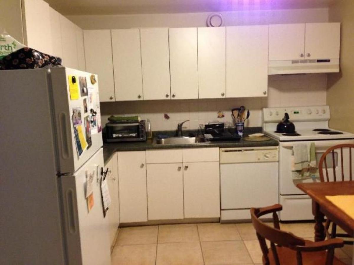 Picture of Condo For Rent in Allston, Massachusetts, United States