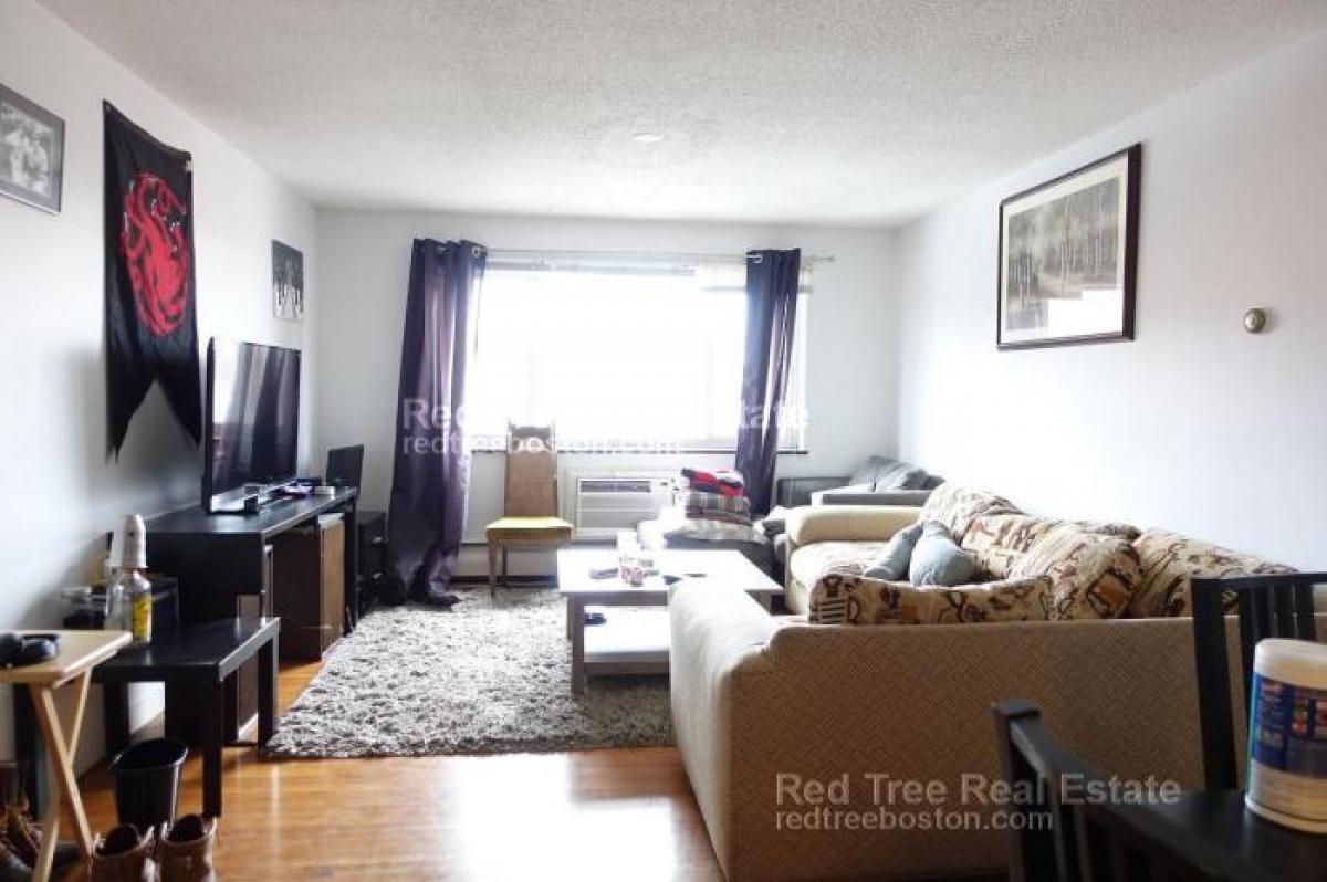 Picture of Condo For Rent in Brighton, Massachusetts, United States