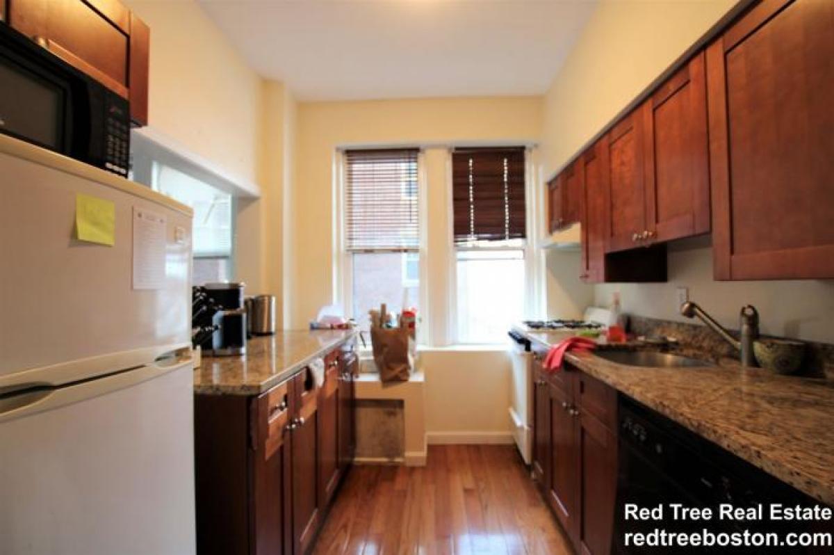 Picture of Condo For Rent in Brighton, Massachusetts, United States