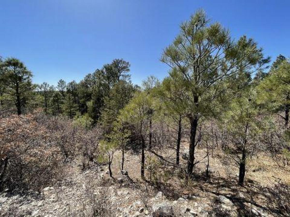 Picture of Residential Land For Sale in Timberon, New Mexico, United States