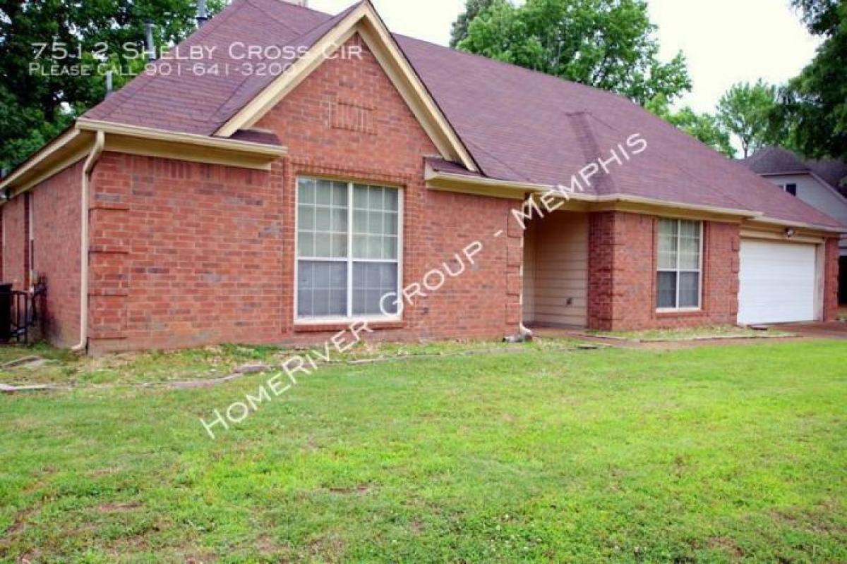 Picture of Apartment For Rent in Memphis, Tennessee, United States