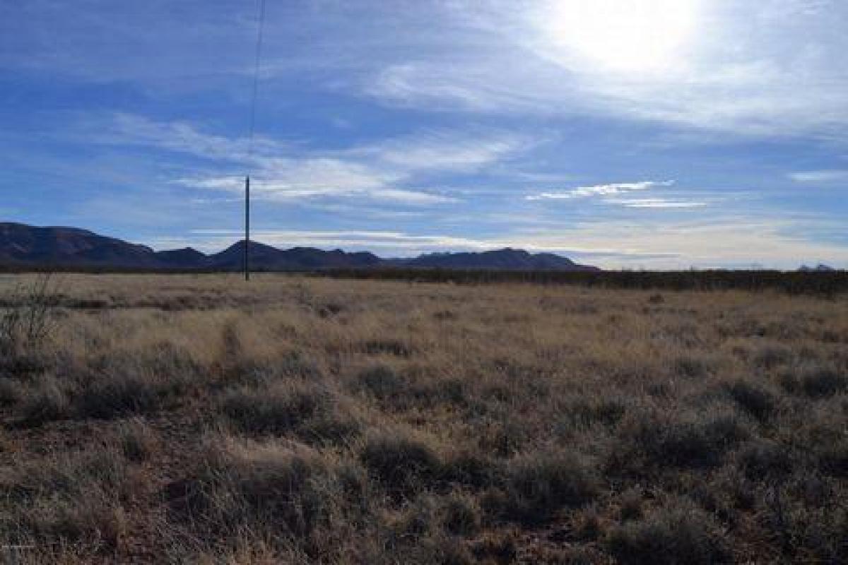 Picture of Residential Land For Sale in Sanders, Arizona, United States