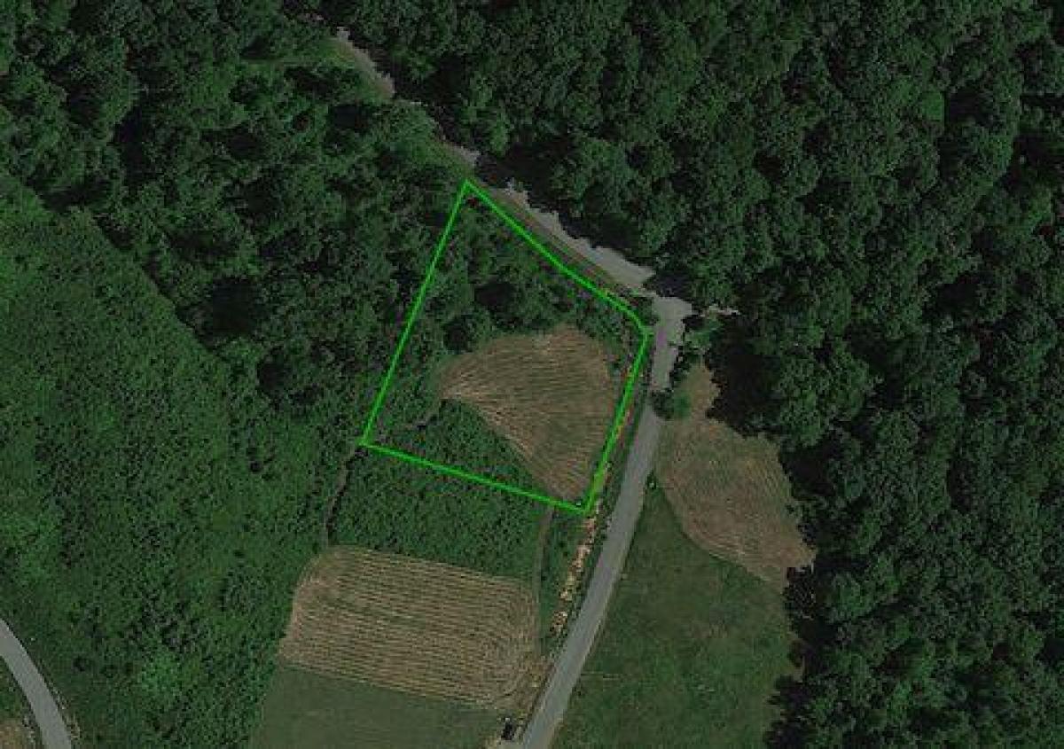 Picture of Residential Land For Sale in La Follette, Tennessee, United States